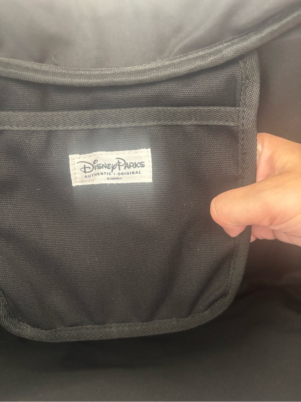 Disney Donald Duck Halloween Tote 2025 - Picture 8 of 9